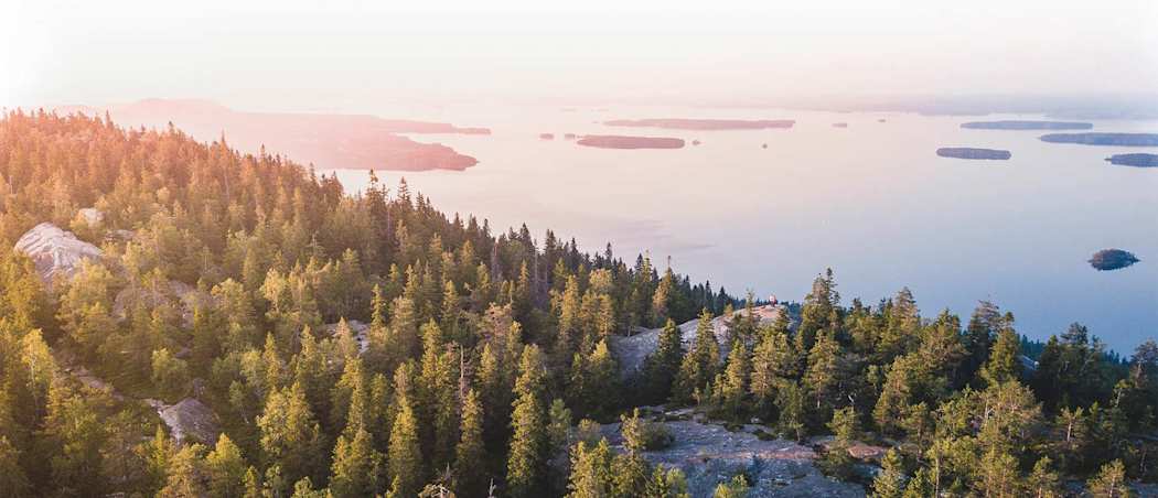 Koli