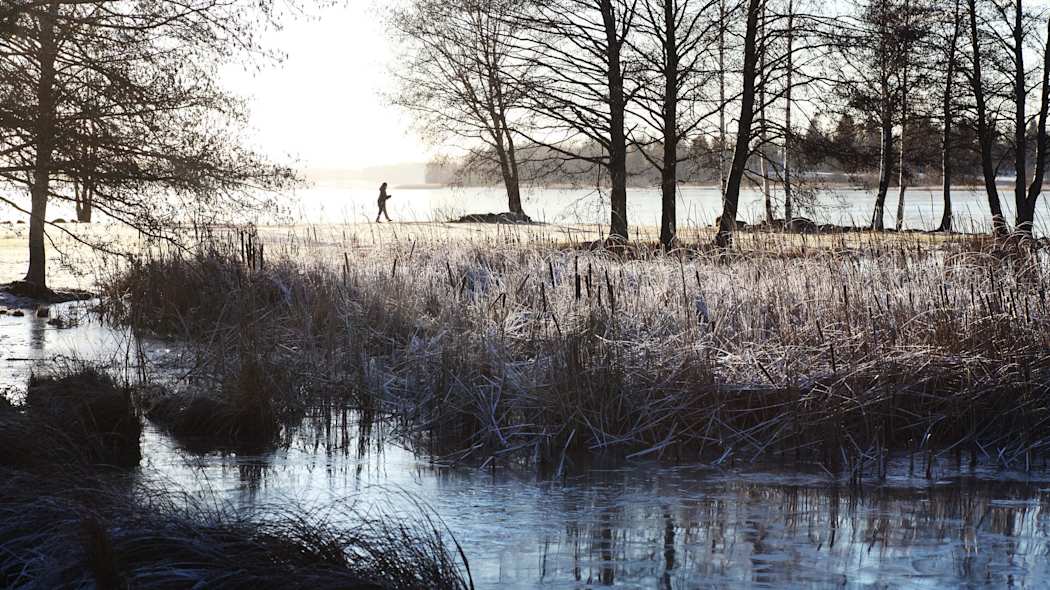 Talvinen aamu puistossa.