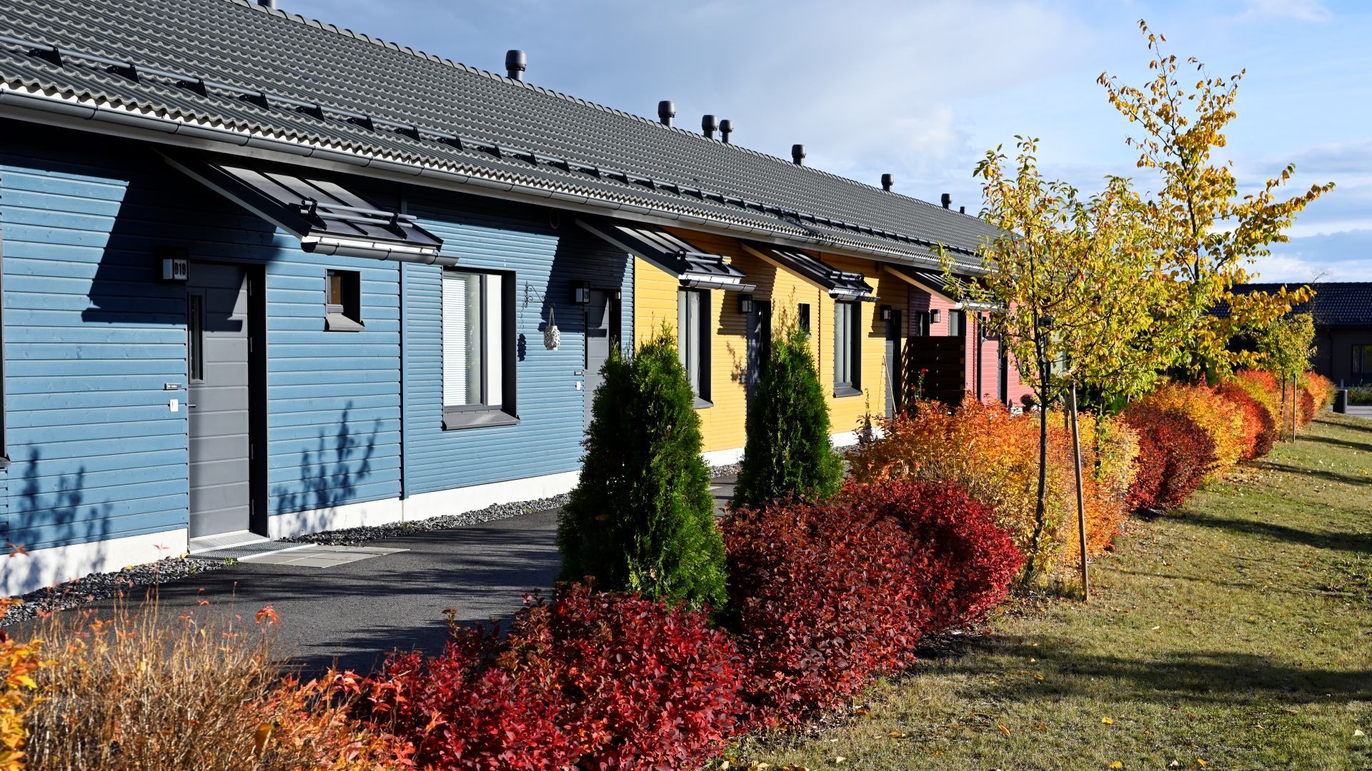 Rivitalo, jonka asunnoissa sinistä, keltaista ja vaaleanpunaista lautaverhoilua.