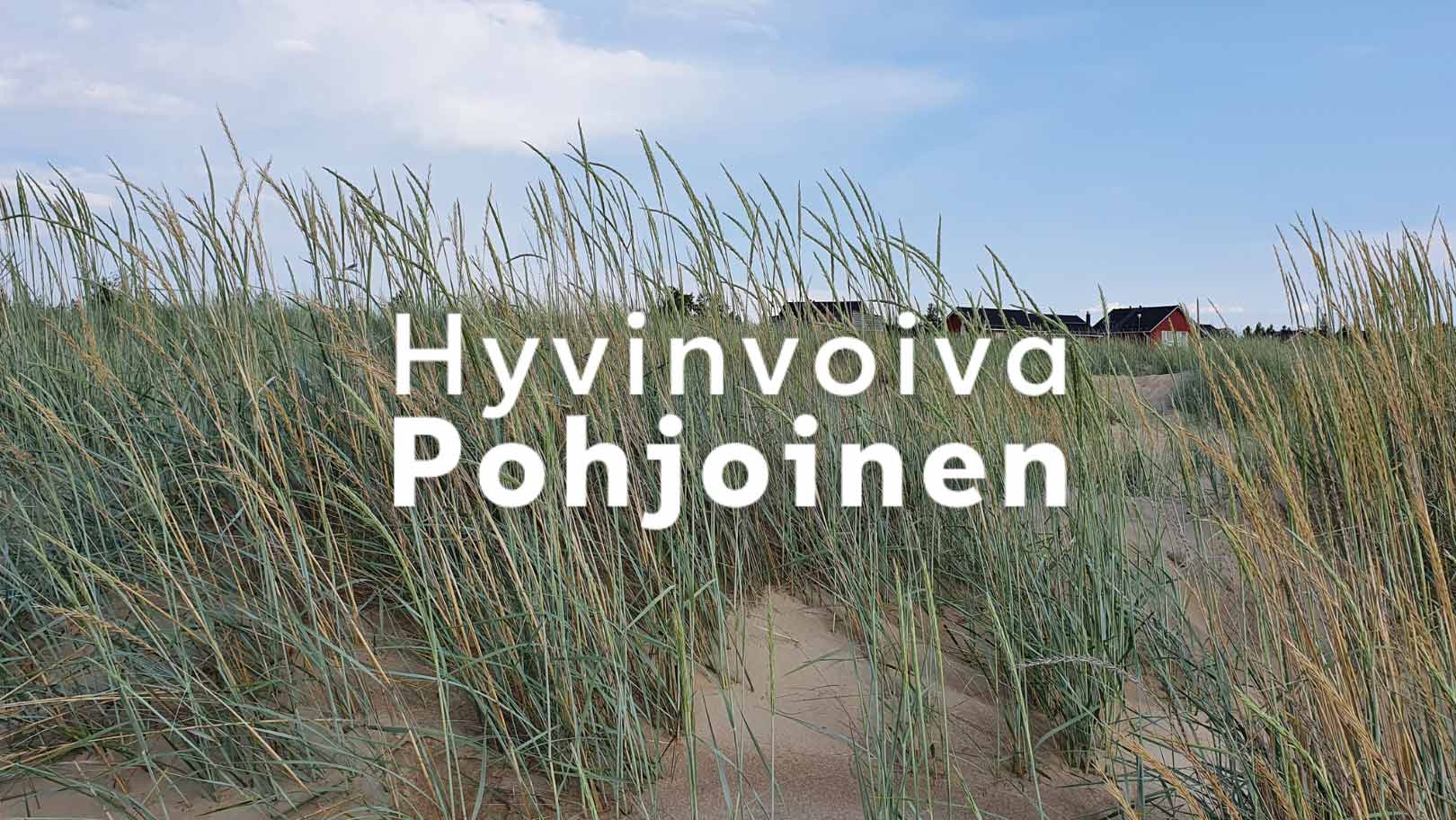 Ranta, jossa kaislikkoa ja hiekkaa. Kuva on otettu Hailuodossa.