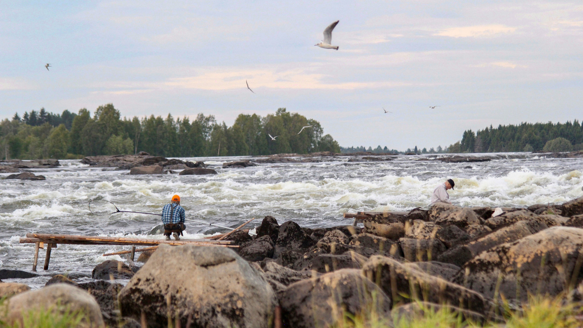 Kaksi miestä kalastaa koskella lippousmenetelmällä.